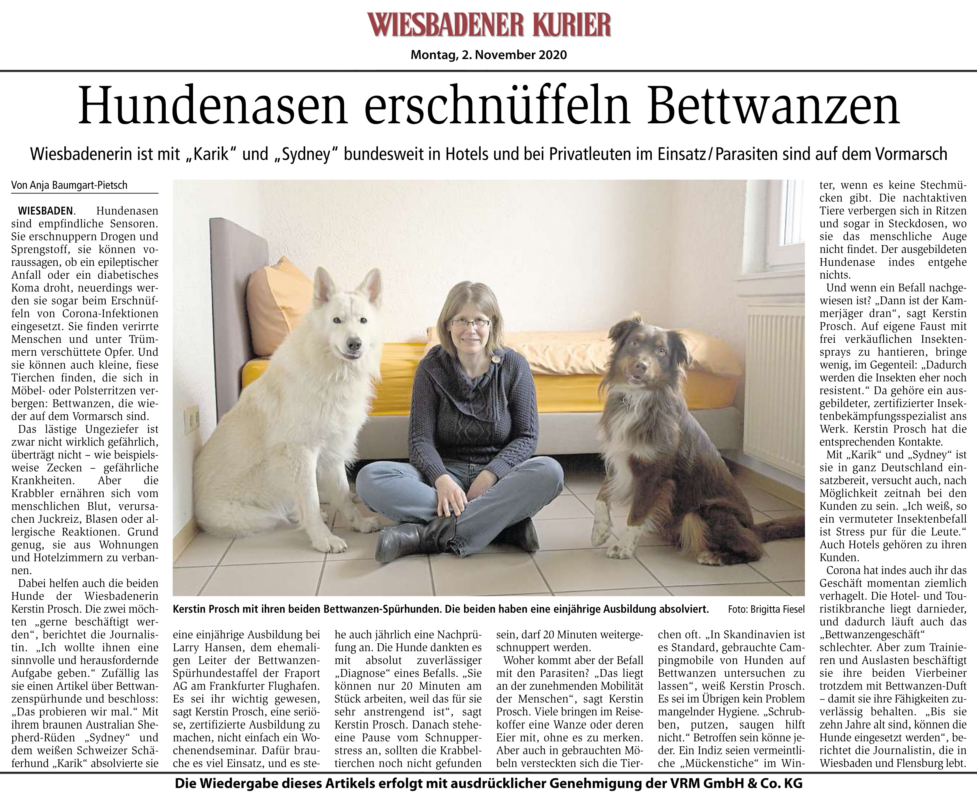 News und Termine - Die Schnupperprofis – Bettwanzenspürhunde Prosch