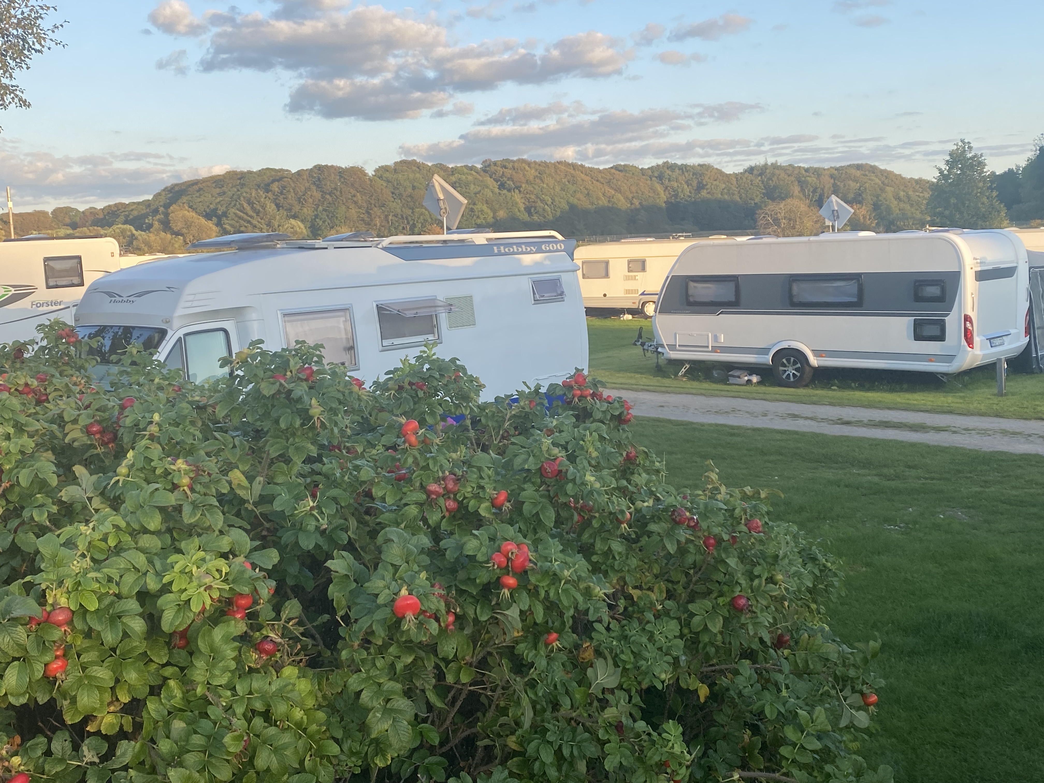 Schleswig-Holstein: Auch in Wohnwagen und Wohnmobilen kann es Bettwanzen geben. Symbolfoto: Kerstin Prosch