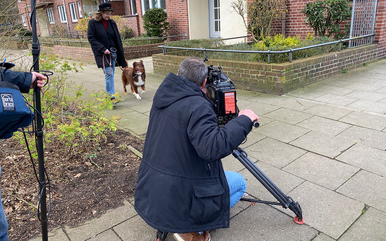 Kammerjäger für Bettwanzen in Hamburg: Bettwanzenspürhund bei NDR-Filmaufnahmen