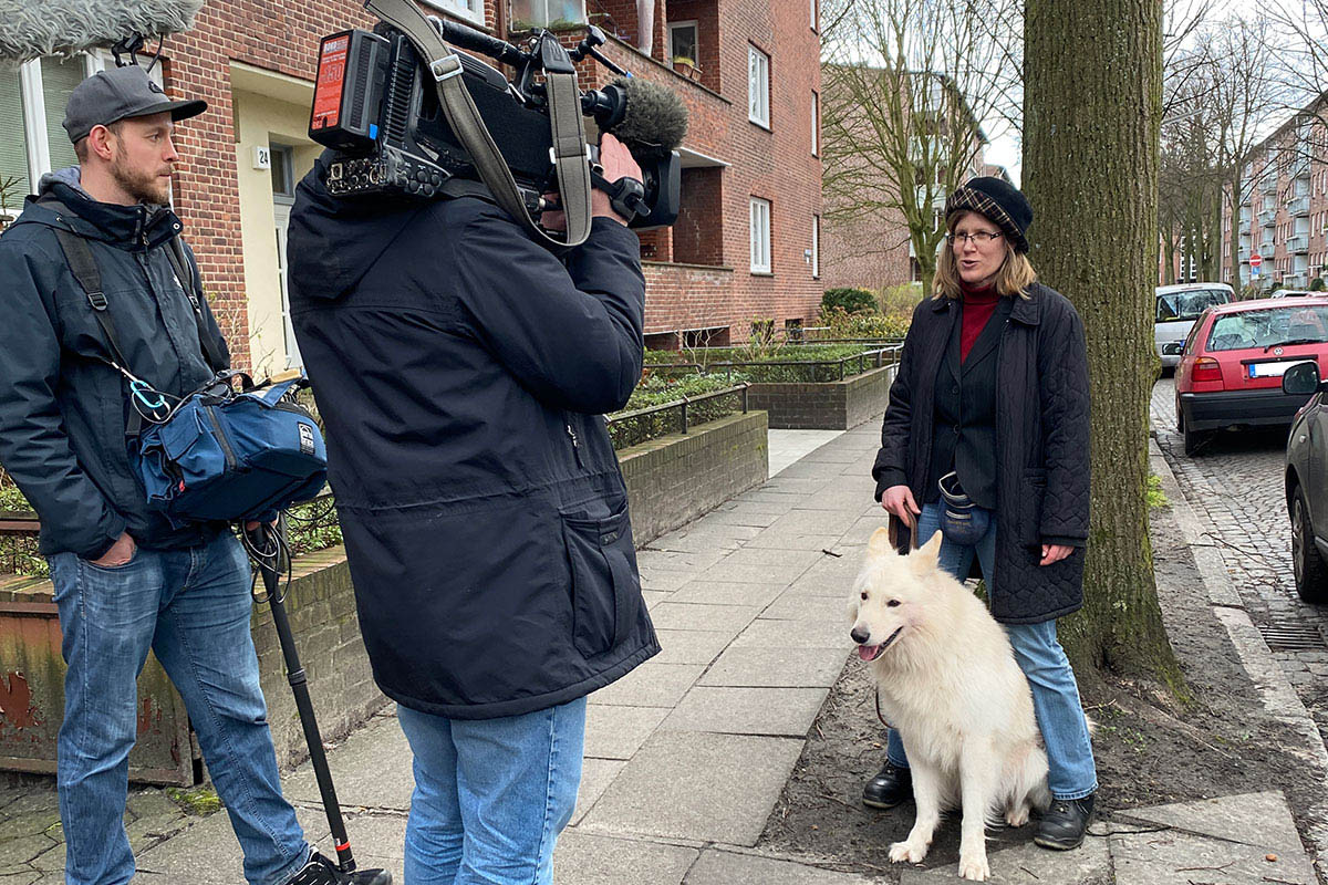 Kammerjäger für Bettwanzen in Hamburg: Bettwanzenspürhunde bei Filmaufnahmen NDR.